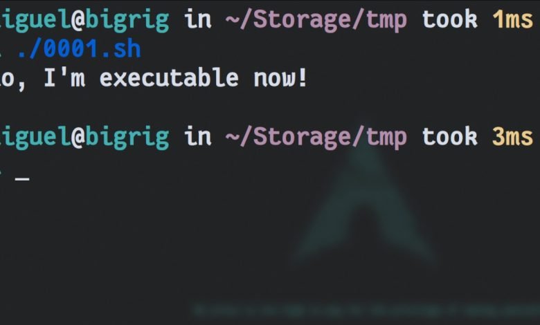 How to Make a File Executable in Any Linux Distribution