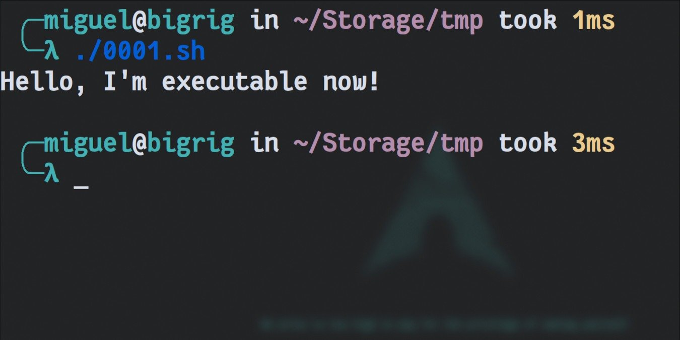 How to Make a File Executable in Any Linux Distribution How to Make a File Executable in Any Linux Distribution