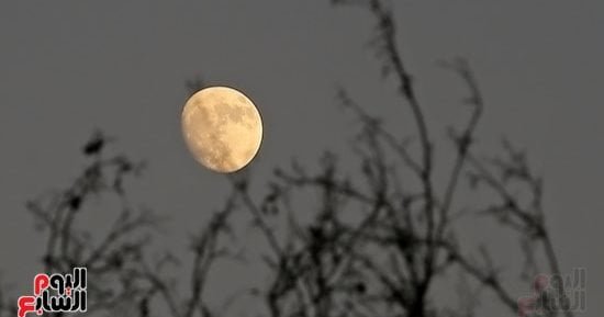 معظمه مضاء فى سماء الليل.. تعرف على مرحلة القمر اليوم؟ معظمه مضاء فى سماء الليل.. تعرف على مرحلة القمر اليوم؟