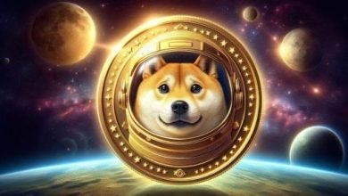 كل ما تريد معرفته عن DOGE وعلاقته بالعملات المشفرة ومنصب ماسك الجديد بإدارة ترامب